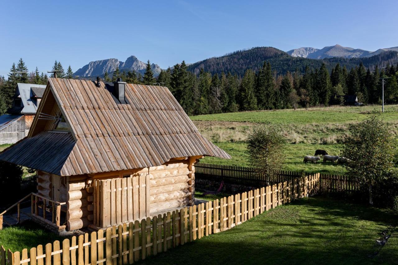 Chata Przy Dolinie Z Sauna Koscielisko Luaran gambar